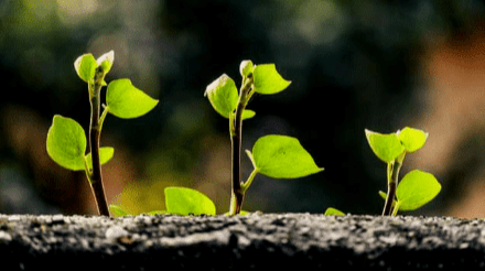 Corefin Solutions Core Values: Distinctive client service Striving for excellence in all we do Respect for the individual Corefin Solutions Core Values: Distinctive client service Striving for excellence in all we do Respect for the individual