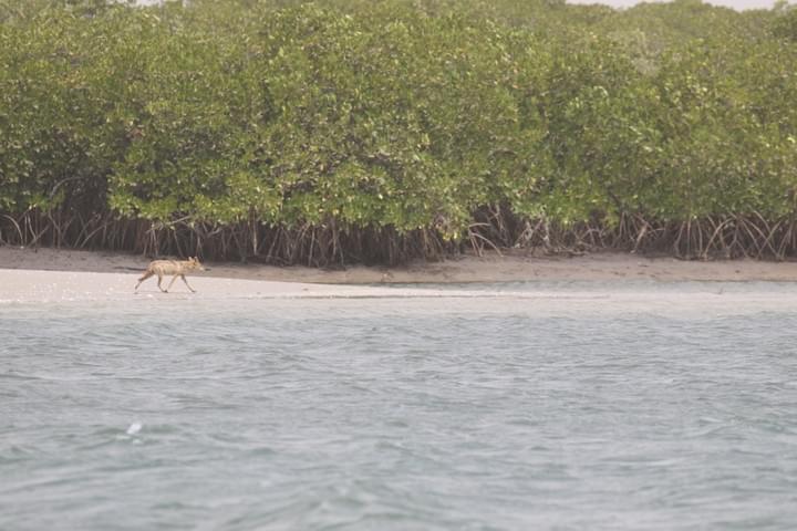 Section image