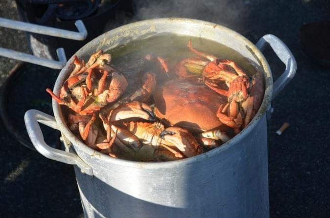 Shop Crab on the Run for your seasonal crab feasts! Shop Crab on the Run for your seasonal crab feasts!
