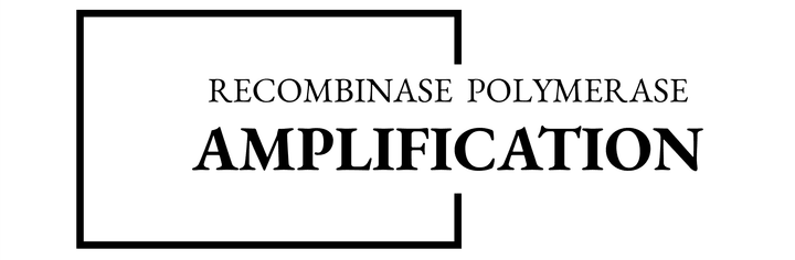 RECOMBINASE POLYMERASE AMPLIFICATION - SBS Genetech RECOMBINASE POLYMERASE AMPLIFICATION - SBS Genetech