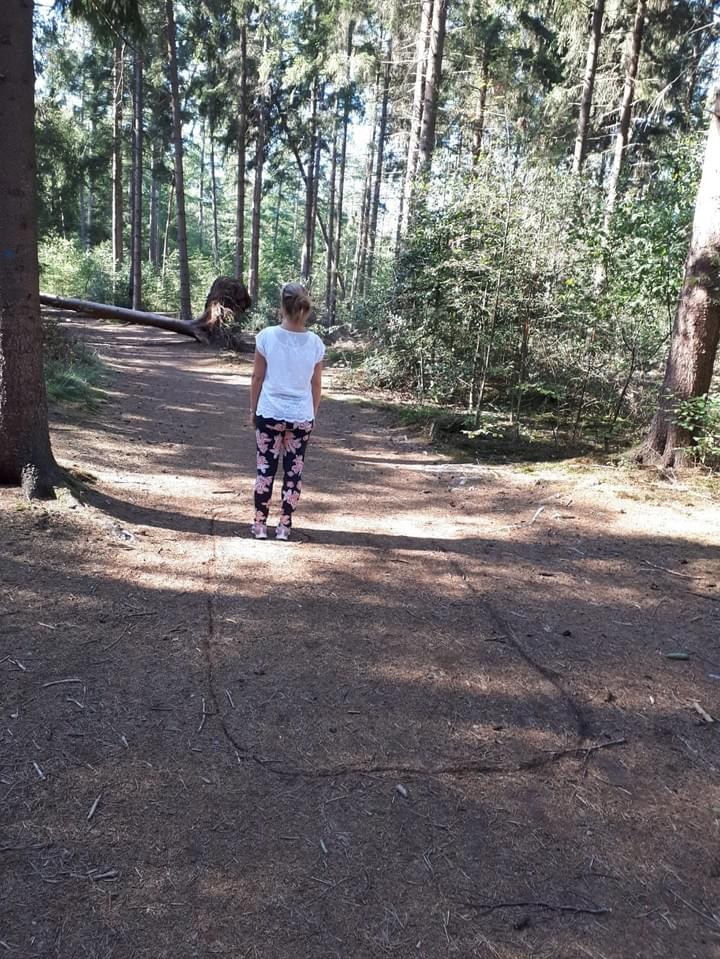 solliciteren coach solliciteren coach