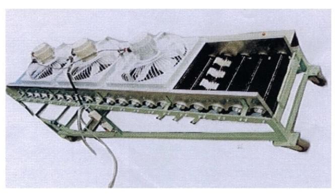 Section image