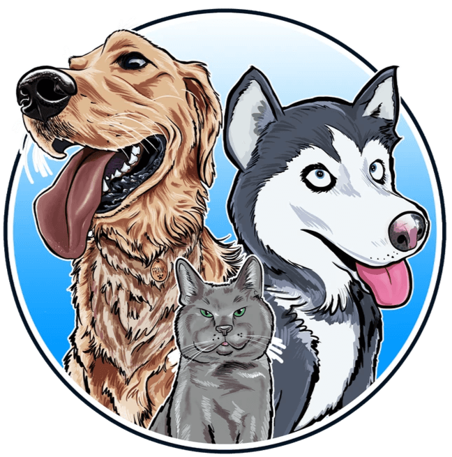Caricature of pets - Golden retriever- Husky- Grey Cat Caricature of pets - Golden retriever- Husky- Grey Cat