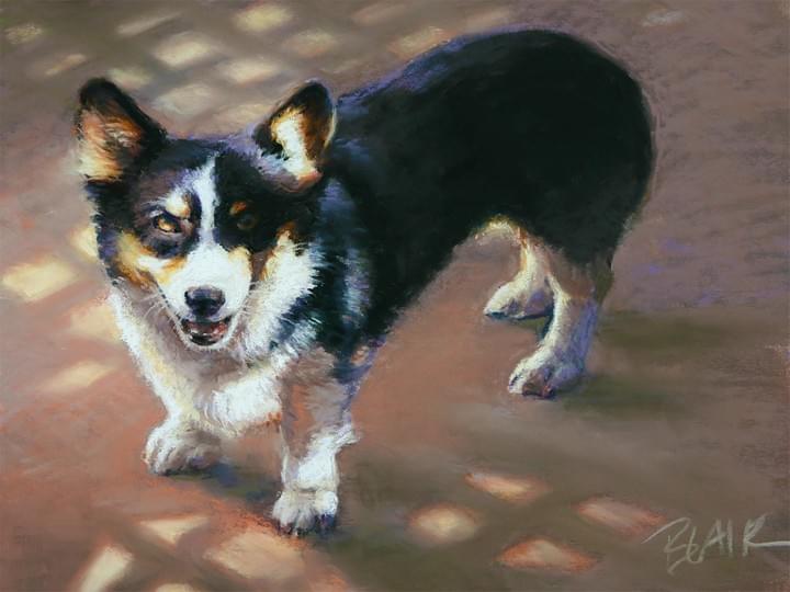 "Corgi, Mischief" 14x11" soft pastel "Corgi, Mischief" 14x11" soft pastel