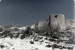 Section image