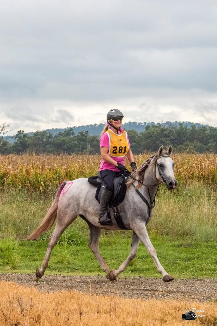 Lanamere Nimbus Lanamere Nimbus