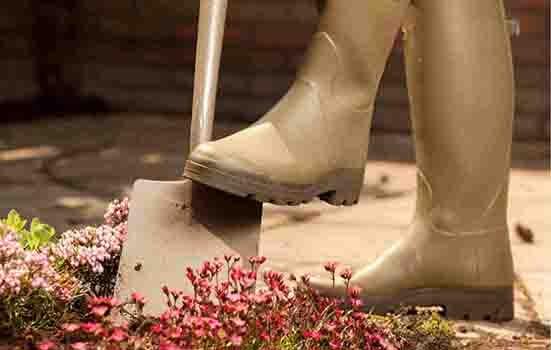 AbsoluteWelly neoprene garden shoes AbsoluteWelly neoprene garden shoes