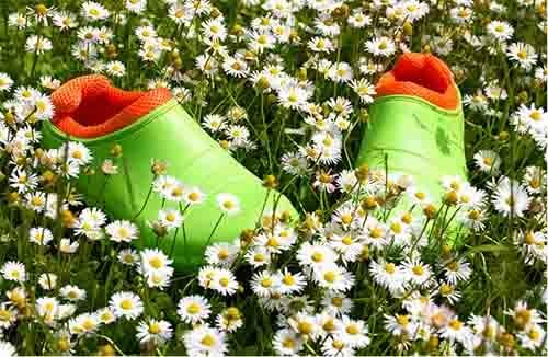 AbsoluteWelly garden slip on shoes AbsoluteWelly garden slip on shoes