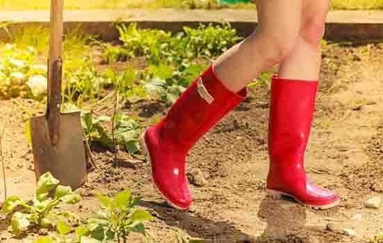 AbsoluteWelly PVC garden shoes for women AbsoluteWelly PVC garden shoes for women