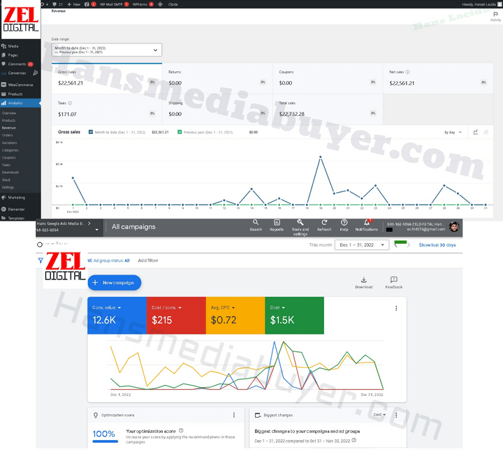 woocommerce google ads shopping ads expert digital media buyer hans woocommerce google ads shopping ads expert digital media buyer hans