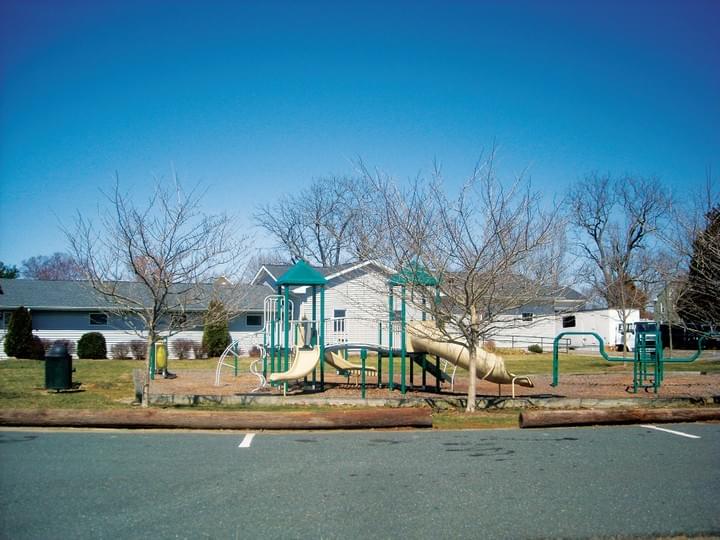 Section image