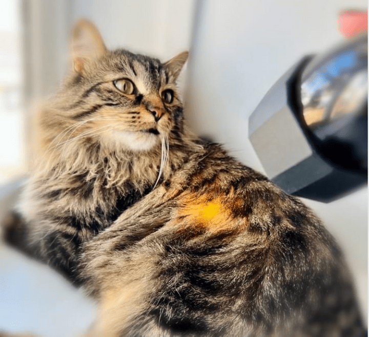 lamp color lamp color