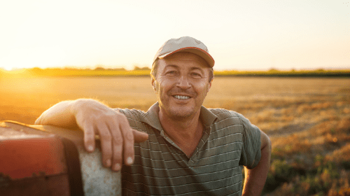 affittare terreno agricolo per impianto fotovoltaico affittare terreno agricolo per impianto fotovoltaico