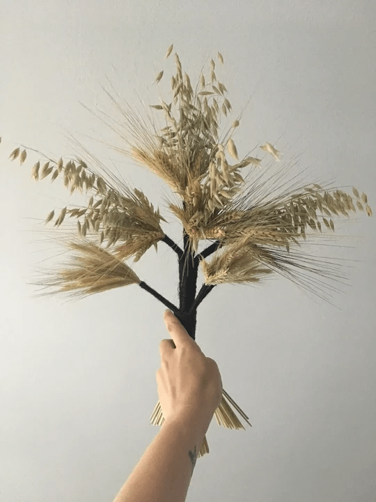 image : a white hand holding a figure made of various grains against a white wall image : a white hand holding a figure made of various grains against a white wall
