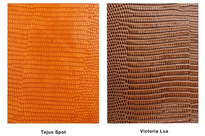 Tejus spot & Victoria lux Tejus spot & Victoria lux