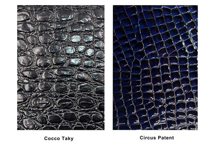 Cocco Taky & Circus patent Cocco Taky & Circus patent