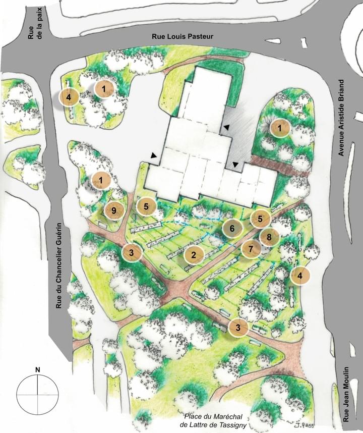 Section image