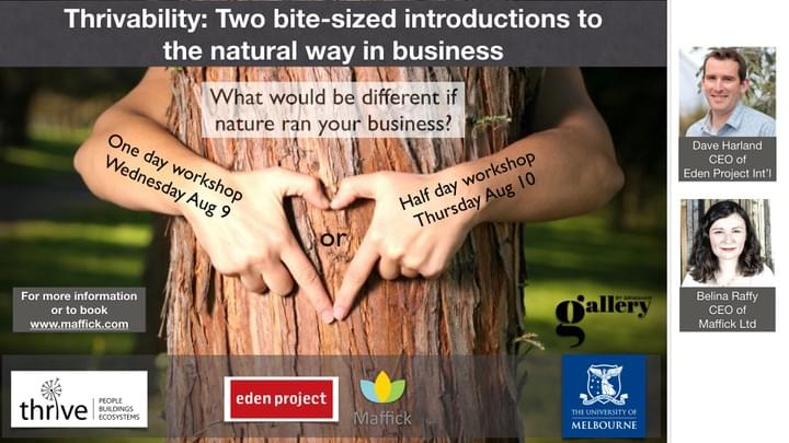 Melbourne Thrivability Melbourne Thrivability
