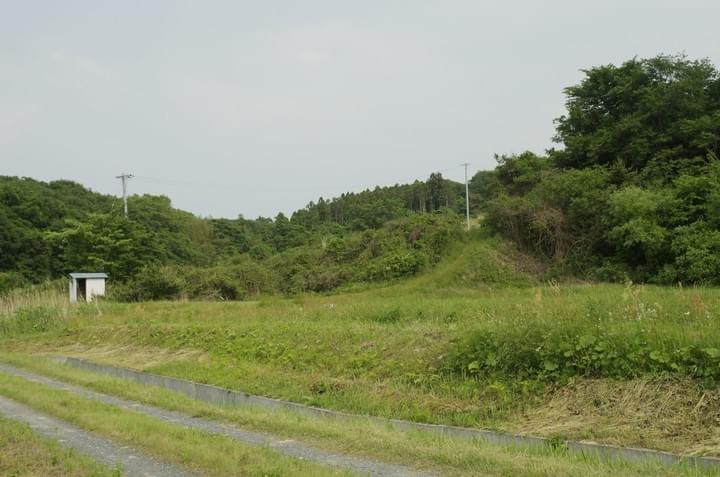 Section image
