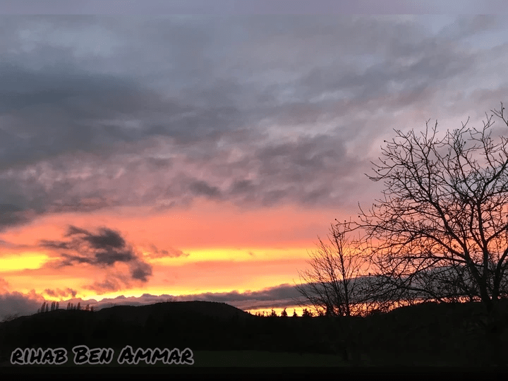 صورة تعبر عن التخلص من الالام والمشاكل النفسية. التحرر وحل مشكل بمساعدةجلسات اونلاين للعلاج التحويلي السريع RTT في قطر في دبي، في الامارات وقريبا منك اونلاين. جلسات علاج تحويلي سريع RTT بالعربي. تدريب علاجي وتأهيل سريع لحل مشكل نفسي. التخلص من القلق والضغوطات والخوف من المستقبل. حل الصدمات صورة تعبر عن التخلص من الالام والمشاكل النفسية. التحرر وحل مشكل بمساعدةجلسات اونلاين للعلاج التحويلي السريع RTT في قطر في دبي، في الامارات وقريبا منك اونلاين. جلسات علاج تحويلي سريع RTT بالعربي. تدريب علاجي وتأهيل سريع لحل مشكل نفسي. التخلص من القلق والضغوطات والخوف من المستقبل. حل الصدمات