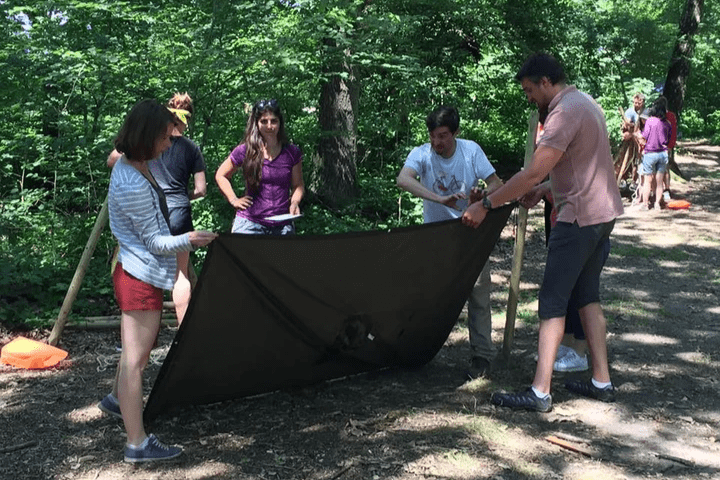 Arc à flèches Arc à flèches