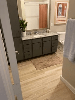 Professional Bathroom Remodeling Professional Bathroom Remodeling