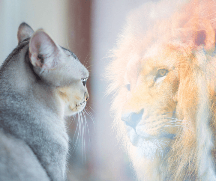 Rétablir l'estime de soi et la confiance en soi Rétablir l'estime de soi et la confiance en soi