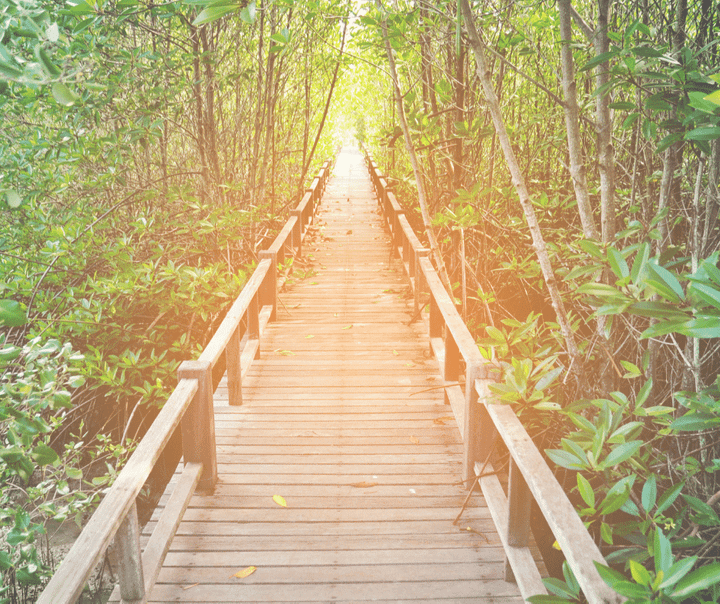 Avancer en confiance sur le chemin de la vie Avancer en confiance sur le chemin de la vie