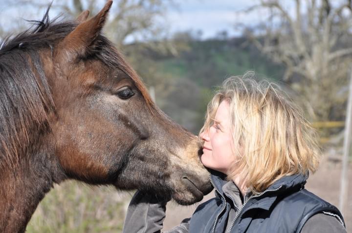 Coaching mit Pferden, Wegbegleiterin Coaching mit Pferden, Wegbegleiterin