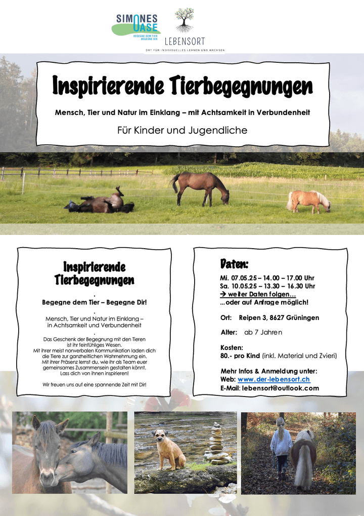 Coaching mit Pferden, Wegbegleiterin Coaching mit Pferden, Wegbegleiterin