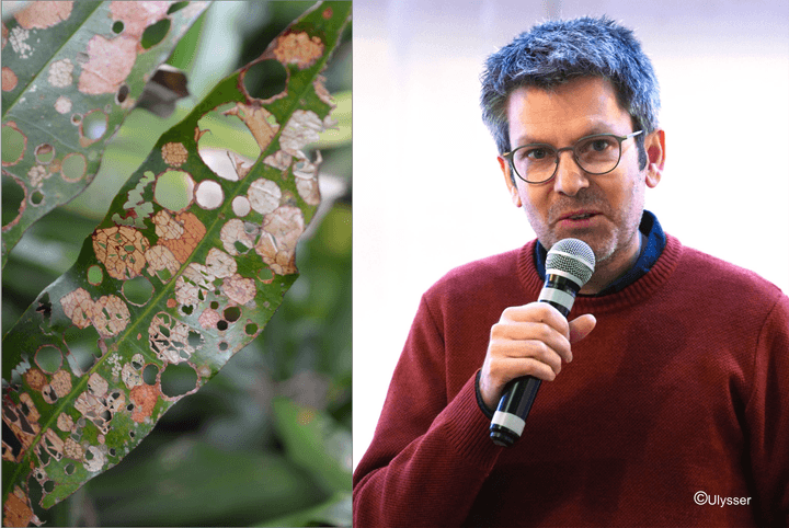 Conférence d'Olivier Hamant à Nyon, 11 mai 2026, (Photo © Vincent Michel, Ouest-France) Conférence d'Olivier Hamant à Nyon, 11 mai 2026, (Photo © Vincent Michel, Ouest-France)