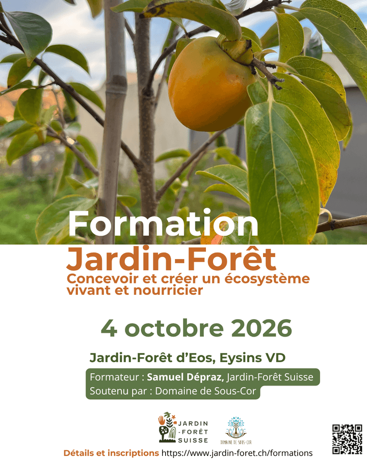 formation jardin-forêt permaculture jardin naturel eysins, 2026 forêt comestible formation jardin-forêt permaculture jardin naturel eysins, 2026 forêt comestible