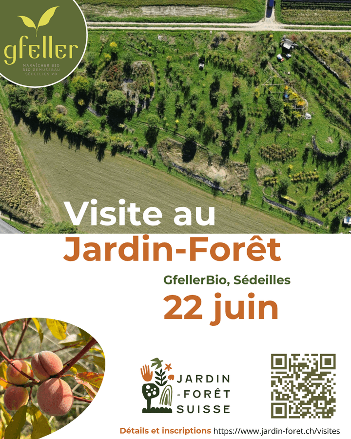 visite jardin-forêt sédeilles gfellerbio visite jardin-forêt sédeilles gfellerbio