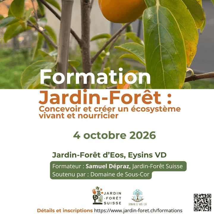 formation jardin-forêt permaculture jardin naturel eysins, 2026 forêt comestible formation jardin-forêt permaculture jardin naturel eysins, 2026 forêt comestible