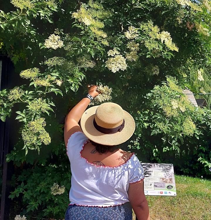 things to do nature outdoors kent woodland herne bay things to do nature outdoors kent woodland herne bay