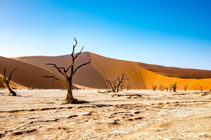 Namib-Naukluft National Park, Namib-Naukluft National Park Safaris, Zambian Safari, Namibian Safari Namib-Naukluft National Park, Namib-Naukluft National Park Safaris, Zambian Safari, Namibian Safari