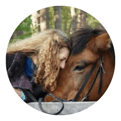 IJslandse paarden IJslandse paarden