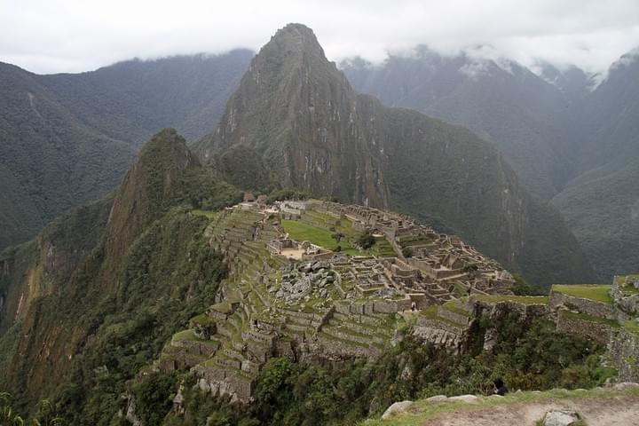 Section image