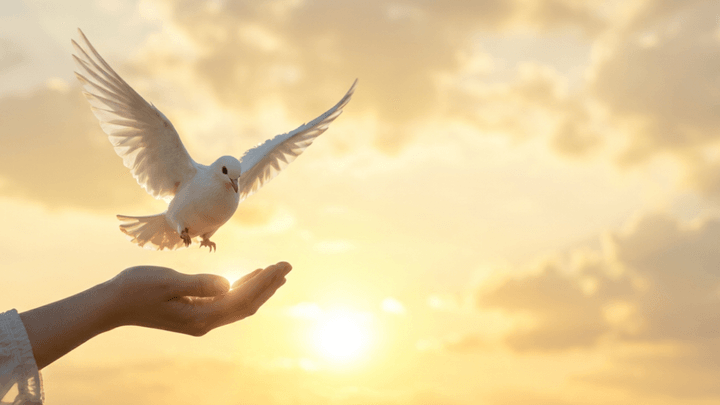 Section image