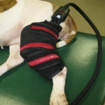 Körperkühlung zur Erholung von Sportlern und Patienten Körperkühlung zur Erholung von Sportlern und Patienten