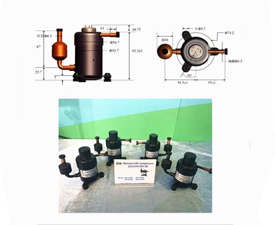 معرض الصين للتبريد - فريق RIGIDHVAC 2 معرض الصين للتبريد - فريق RIGIDHVAC 2