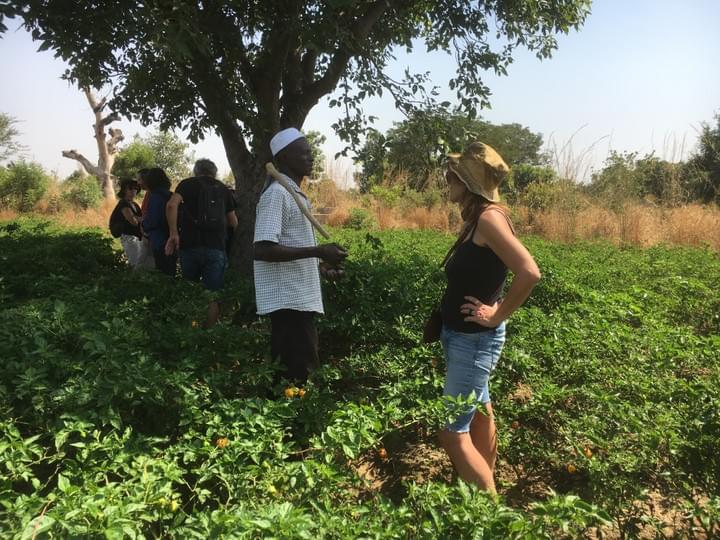 clickez sur la photo clickez sur la photo