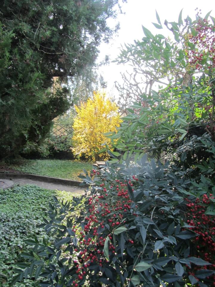 Section image