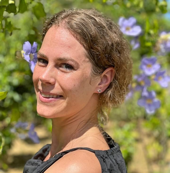 srilankareisen.lk individual holidays srilankareisen.lk individual holidays