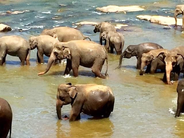 Tours and excursion Sri Lanka Tours and excursion Sri Lanka