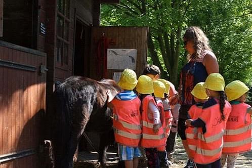 No Pilifs Bruxelles No Pilifs Bruxelles