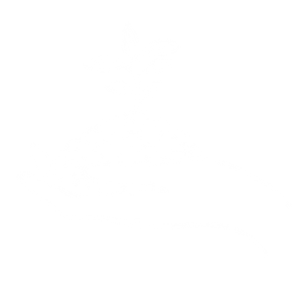 Rewilding Project in Reeth, Yorkshire Dales National Park Rewilding Project in Reeth, Yorkshire Dales National Park