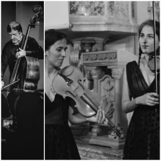 Vanja Posavec Vanja Posavec