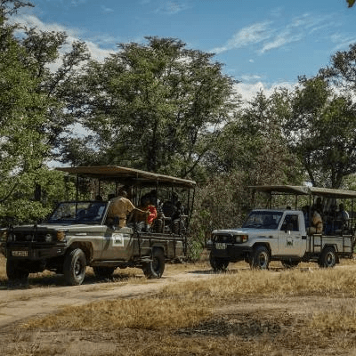 Game Drive Mosi-oa-Tunya  National Park Game Drive Mosi-oa-Tunya  National Park