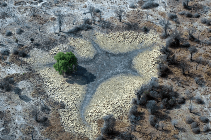 South Luangwa landscape, (c) J. Murdoch South Luangwa landscape, (c) J. Murdoch